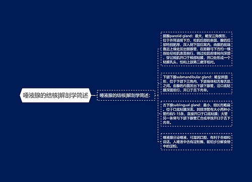 唾液腺的结核|解剖学简述