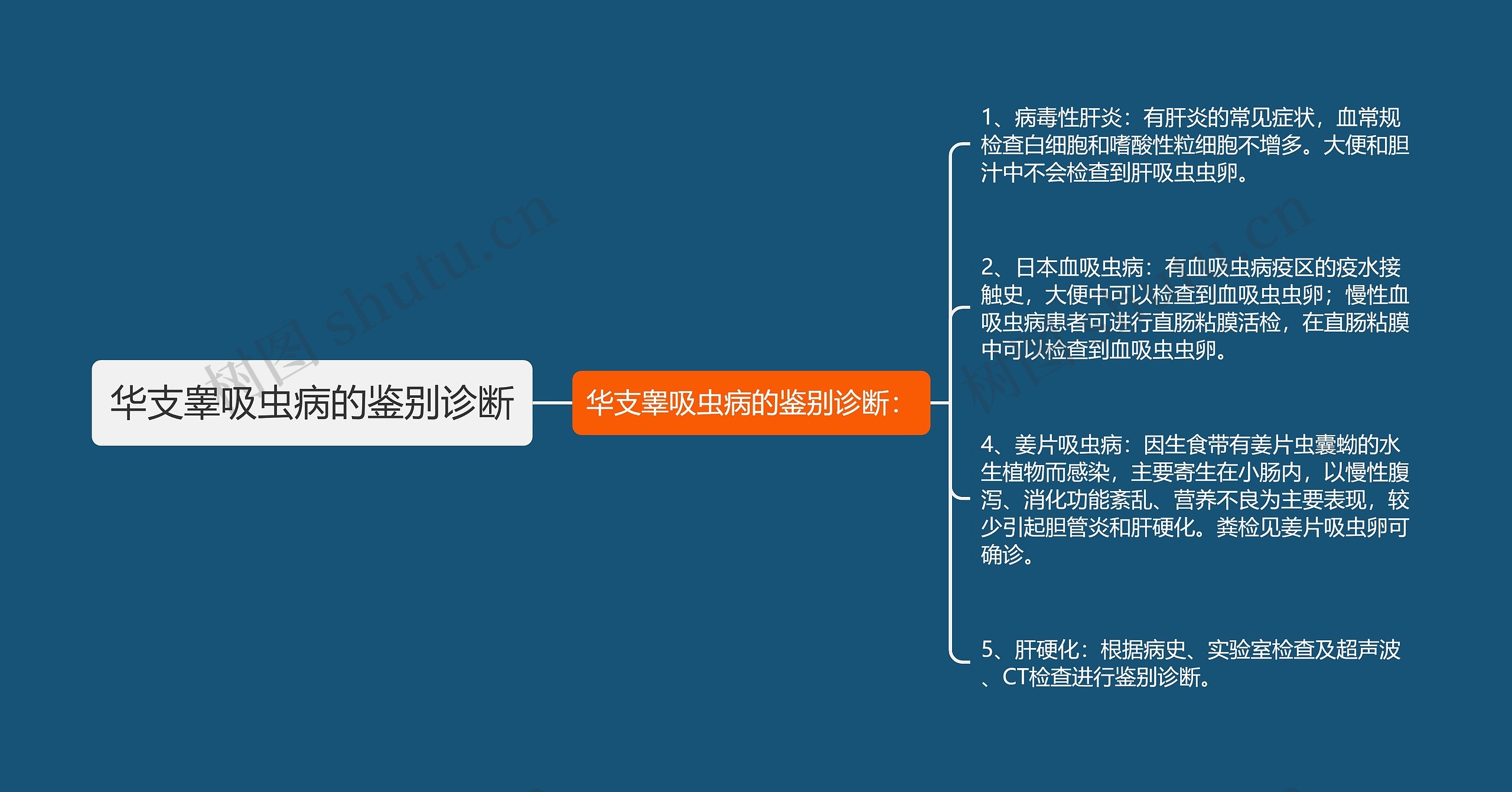 华支睾吸虫病的鉴别诊断思维导图