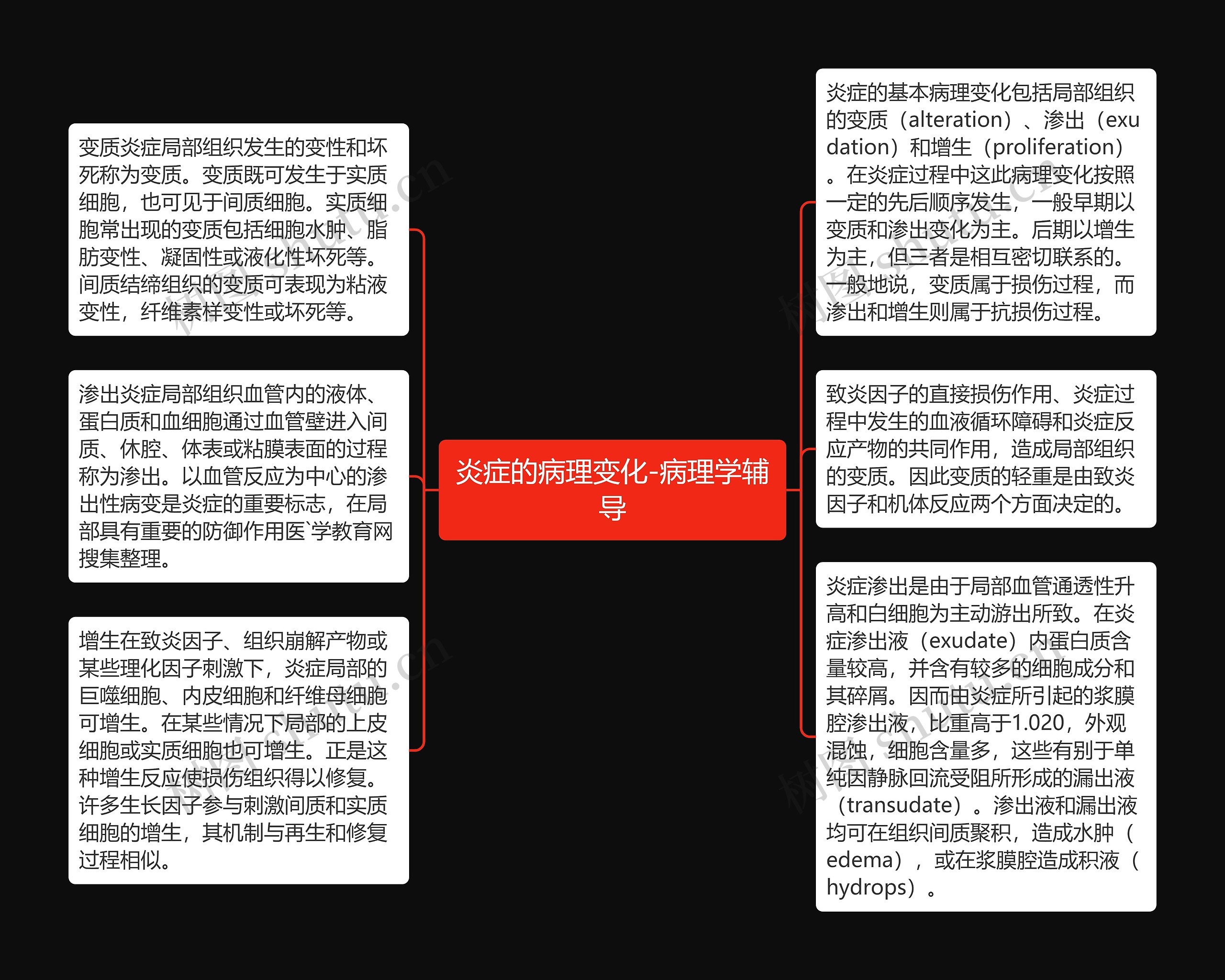 炎症的病理变化-病理学辅导