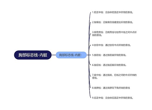 胸部标志线-内脏