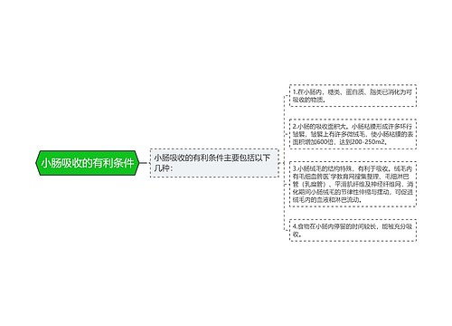 小肠吸收的有利条件