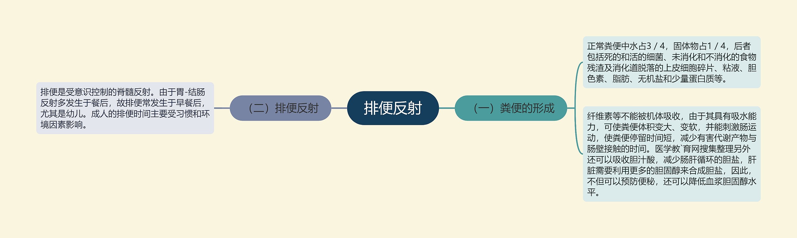 排便反射思维导图
