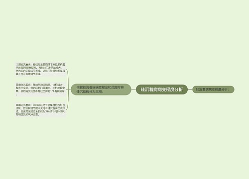 硅沉着病病变程度分析