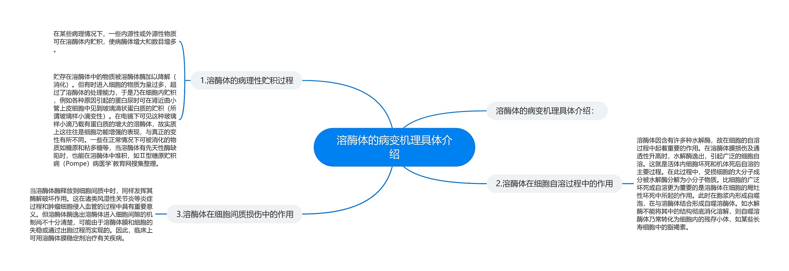 溶酶体的病变机理具体介绍思维导图