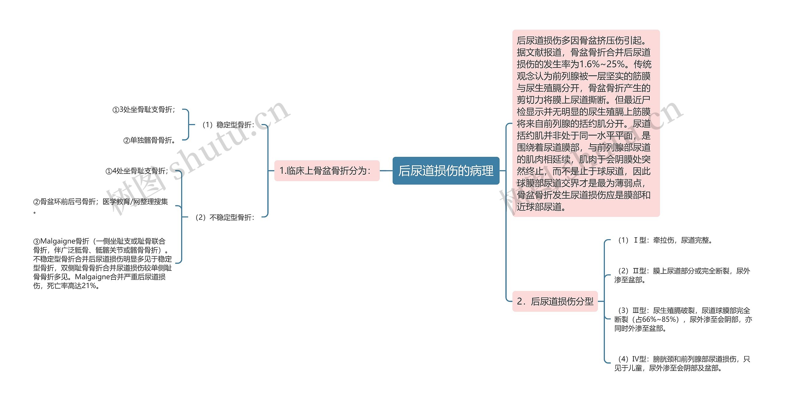 后尿道损伤的病理 后尿道损伤的病理