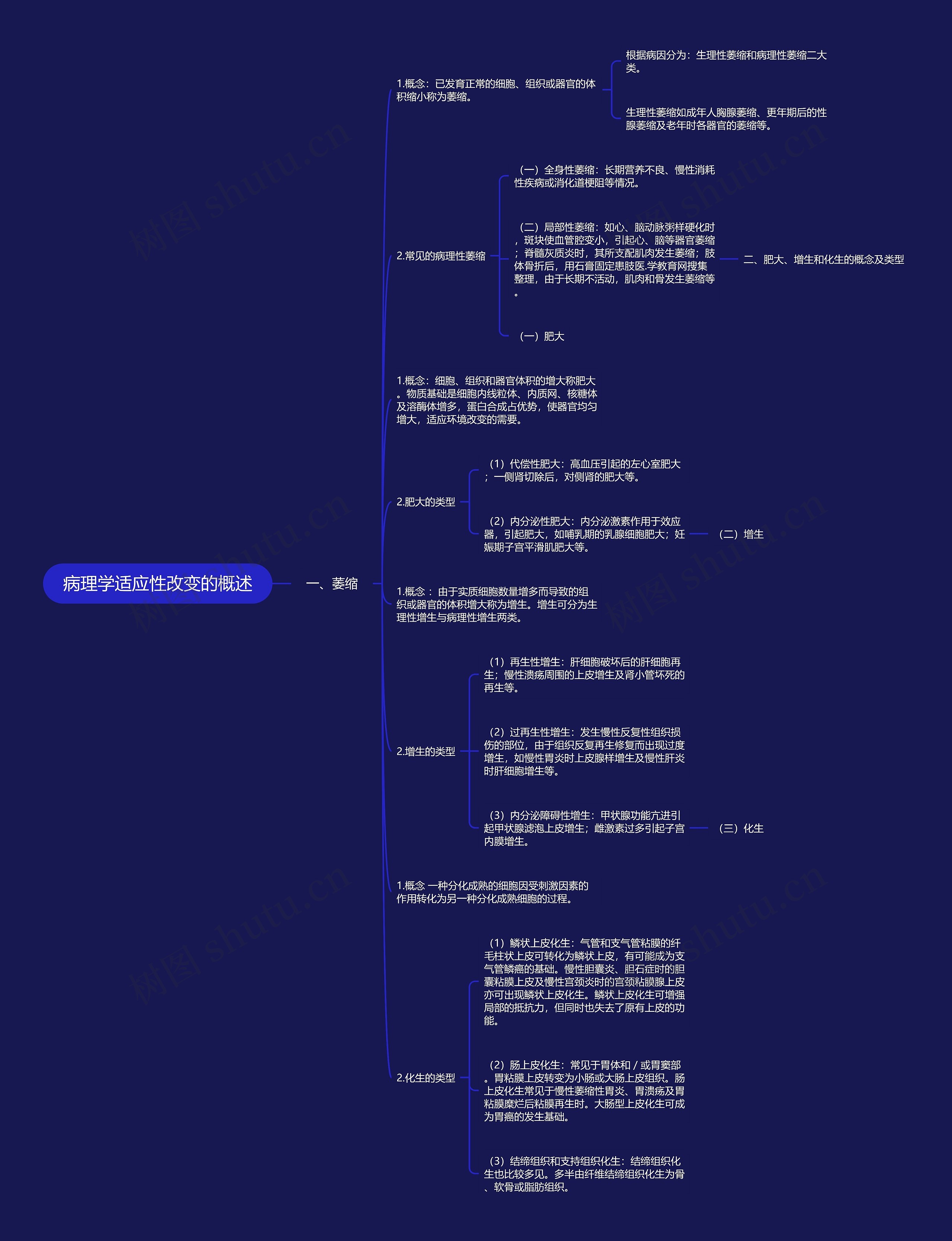 病理学适应性改变的概述 病理学适应性改变的概述