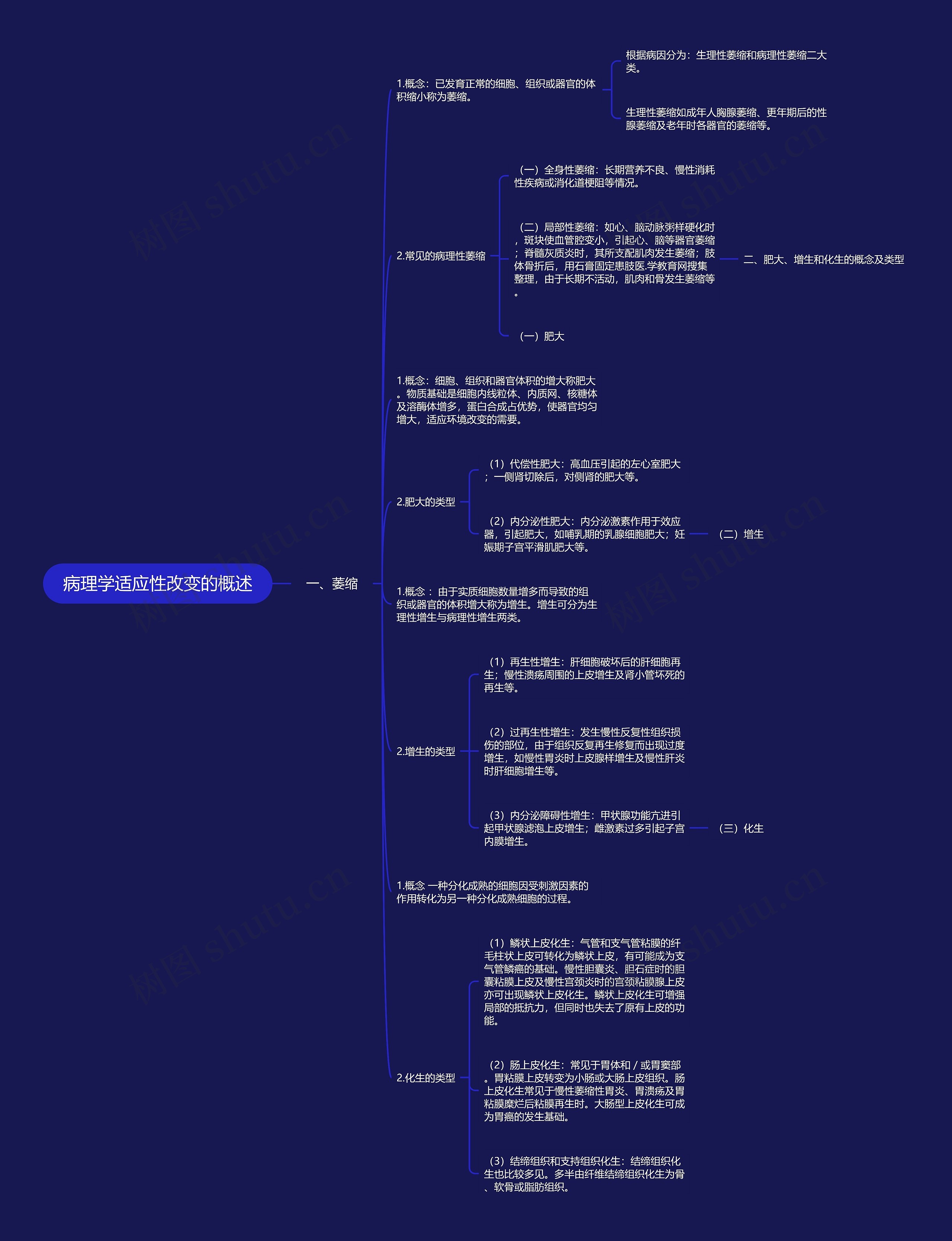 病理学适应性改变的概述思维导图
