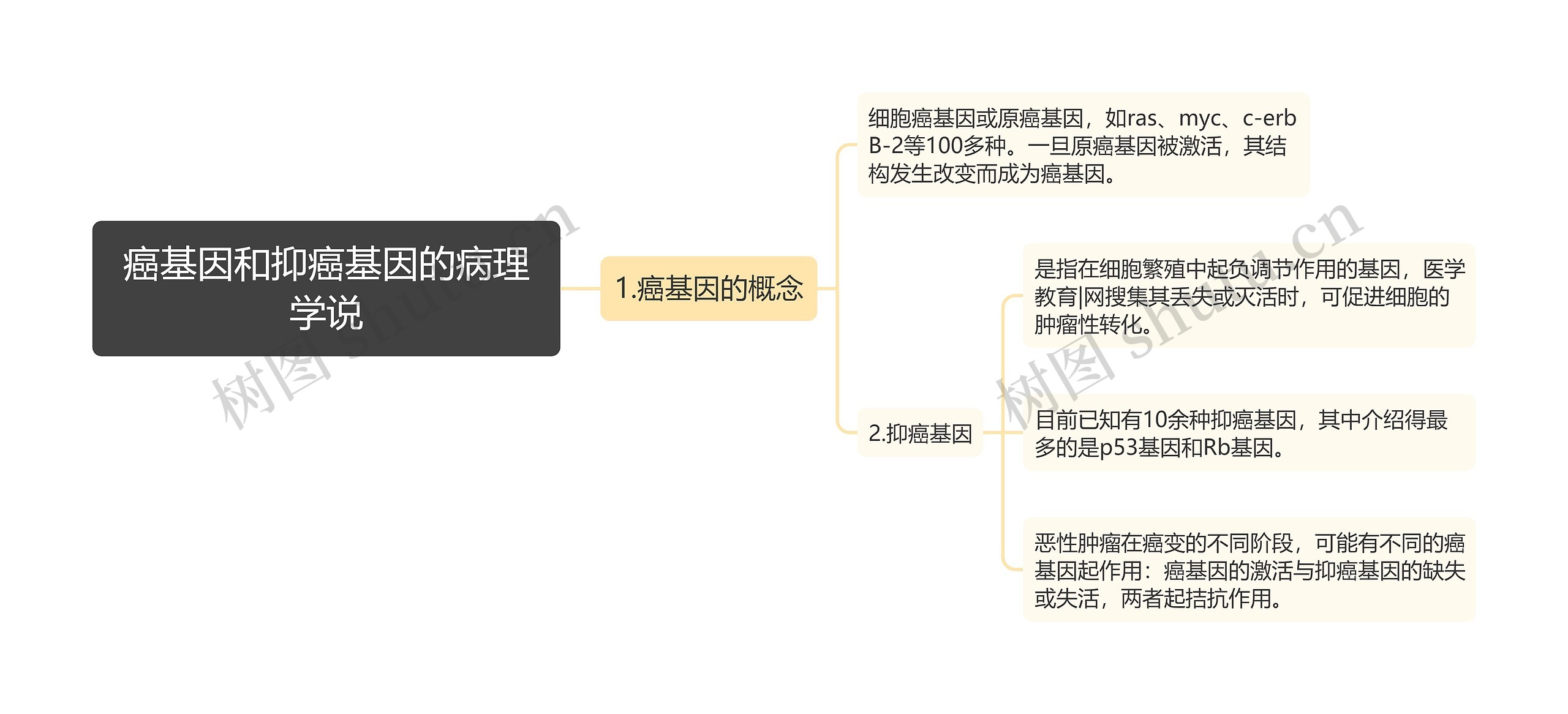 癌基因和抑癌基因的病理学说