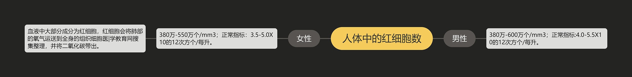 人体中的红细胞数思维导图