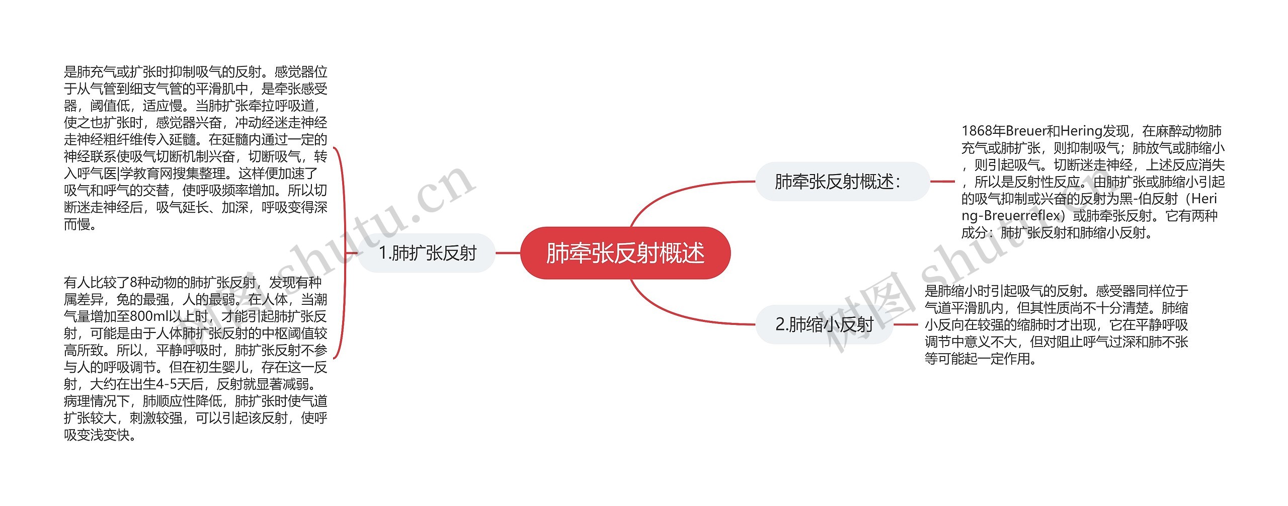 肺牵张反射概述思维导图