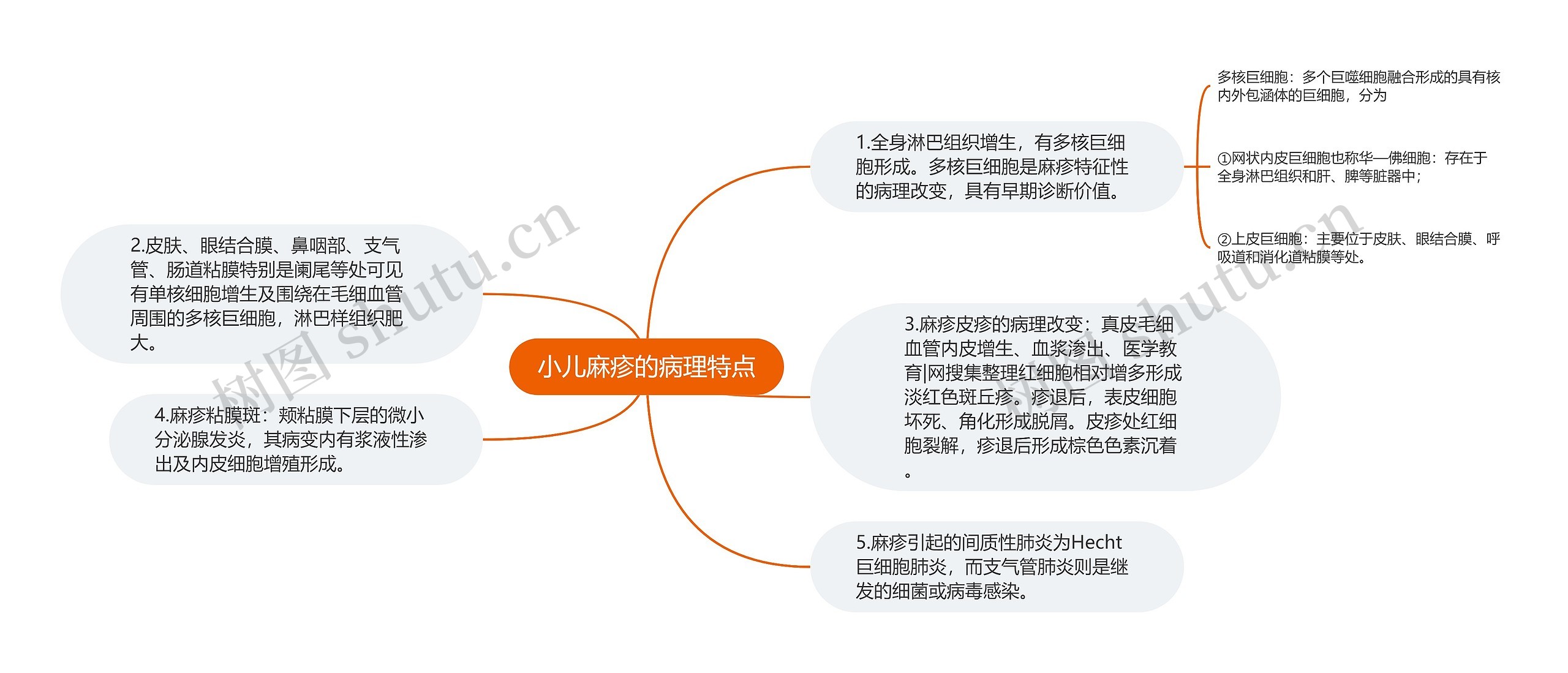 小儿麻疹的病理特点思维导图