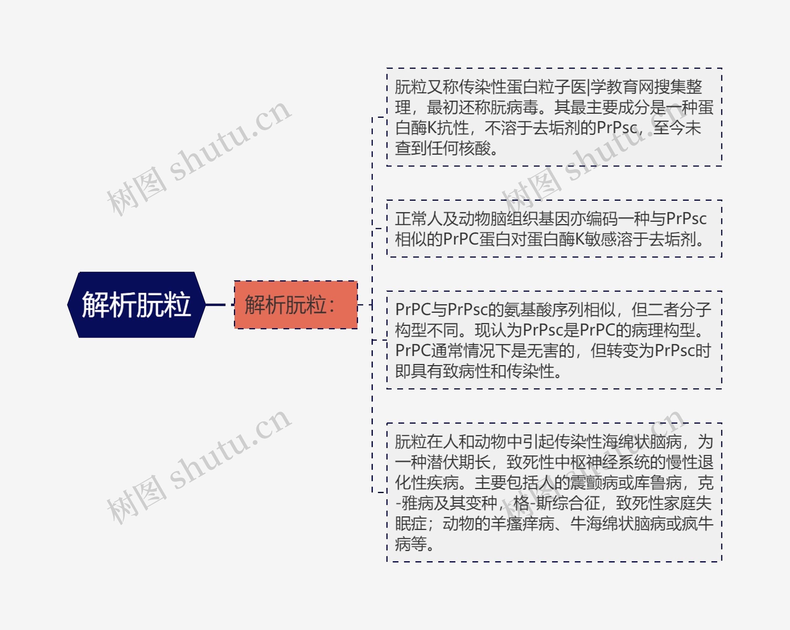 解析朊粒 解析朊粒