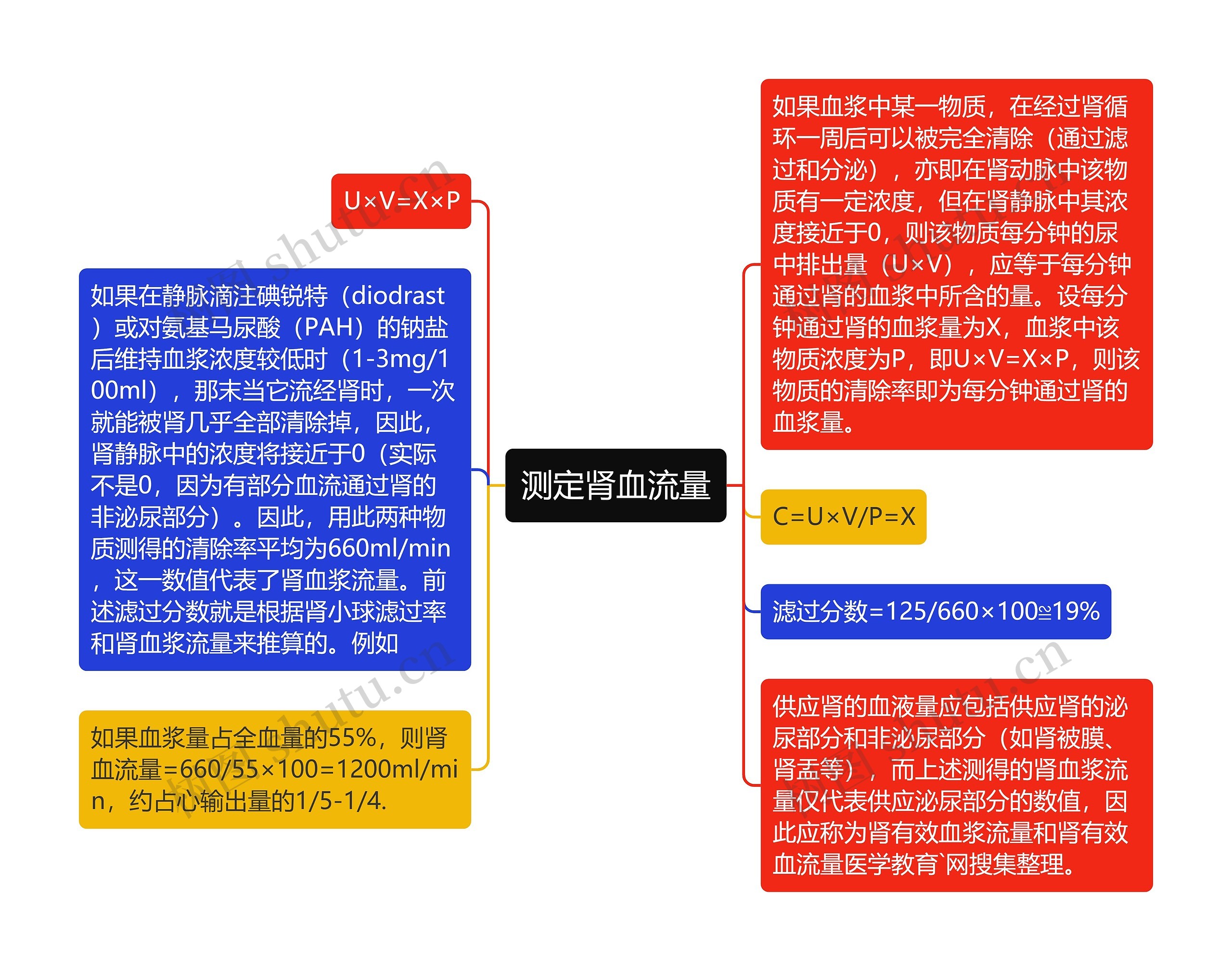 测定肾血流量思维导图