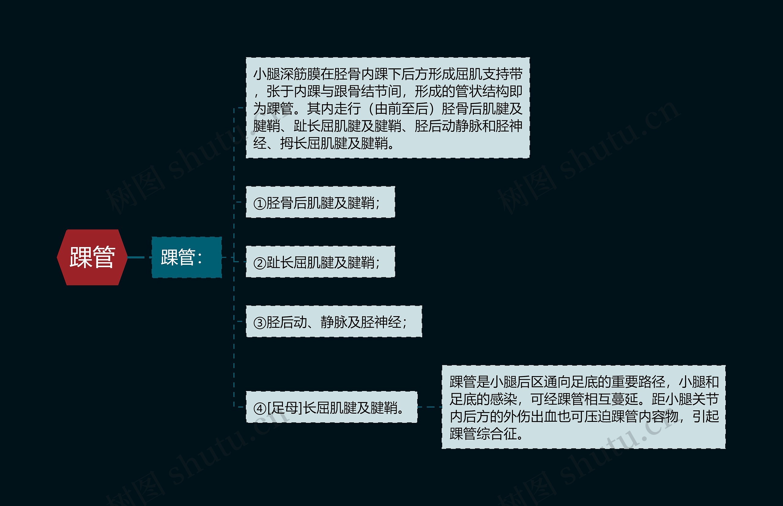 踝管思维导图