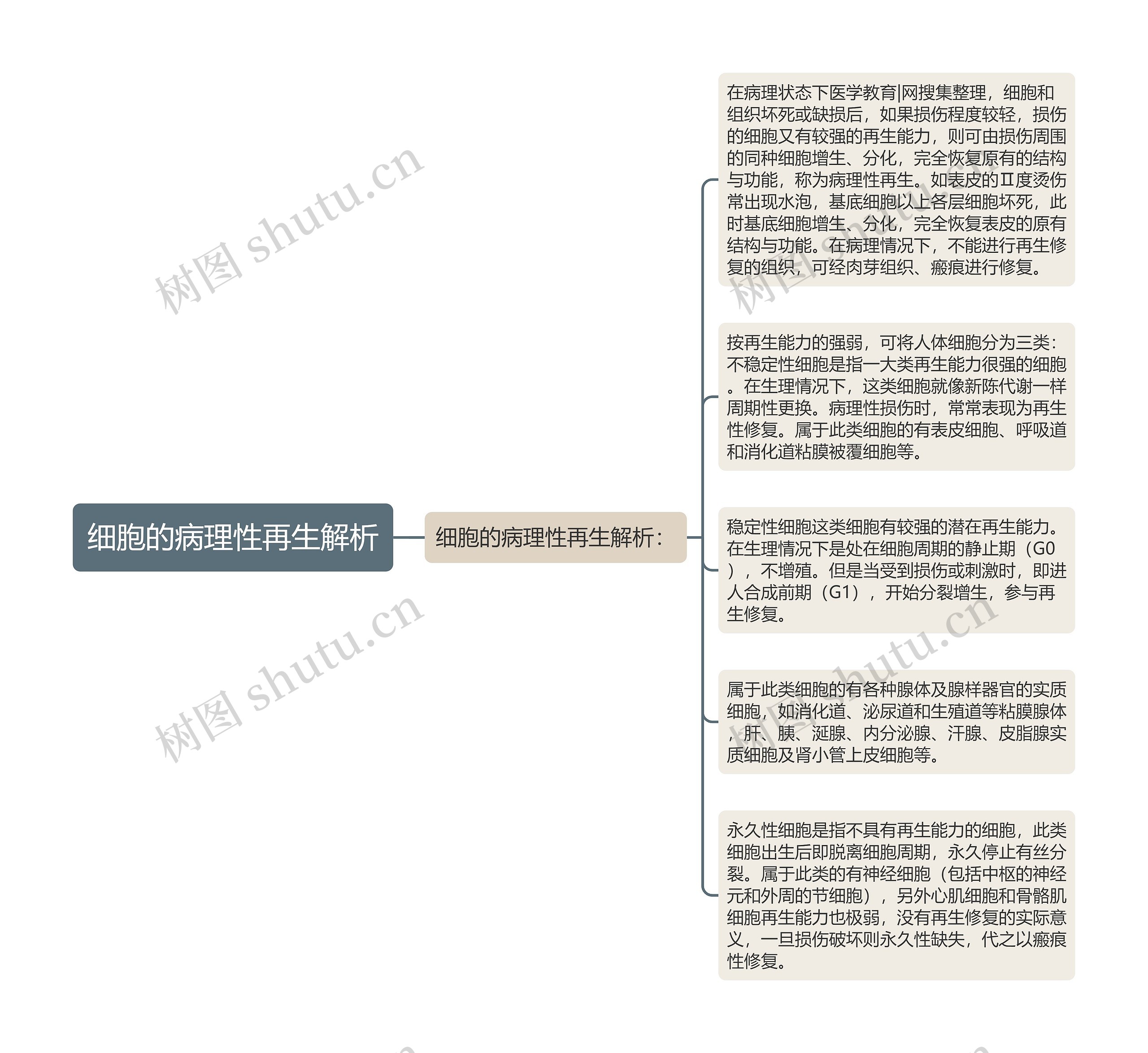 细胞的病理性再生解析思维导图