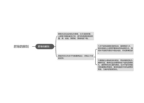 腭骨的解剖