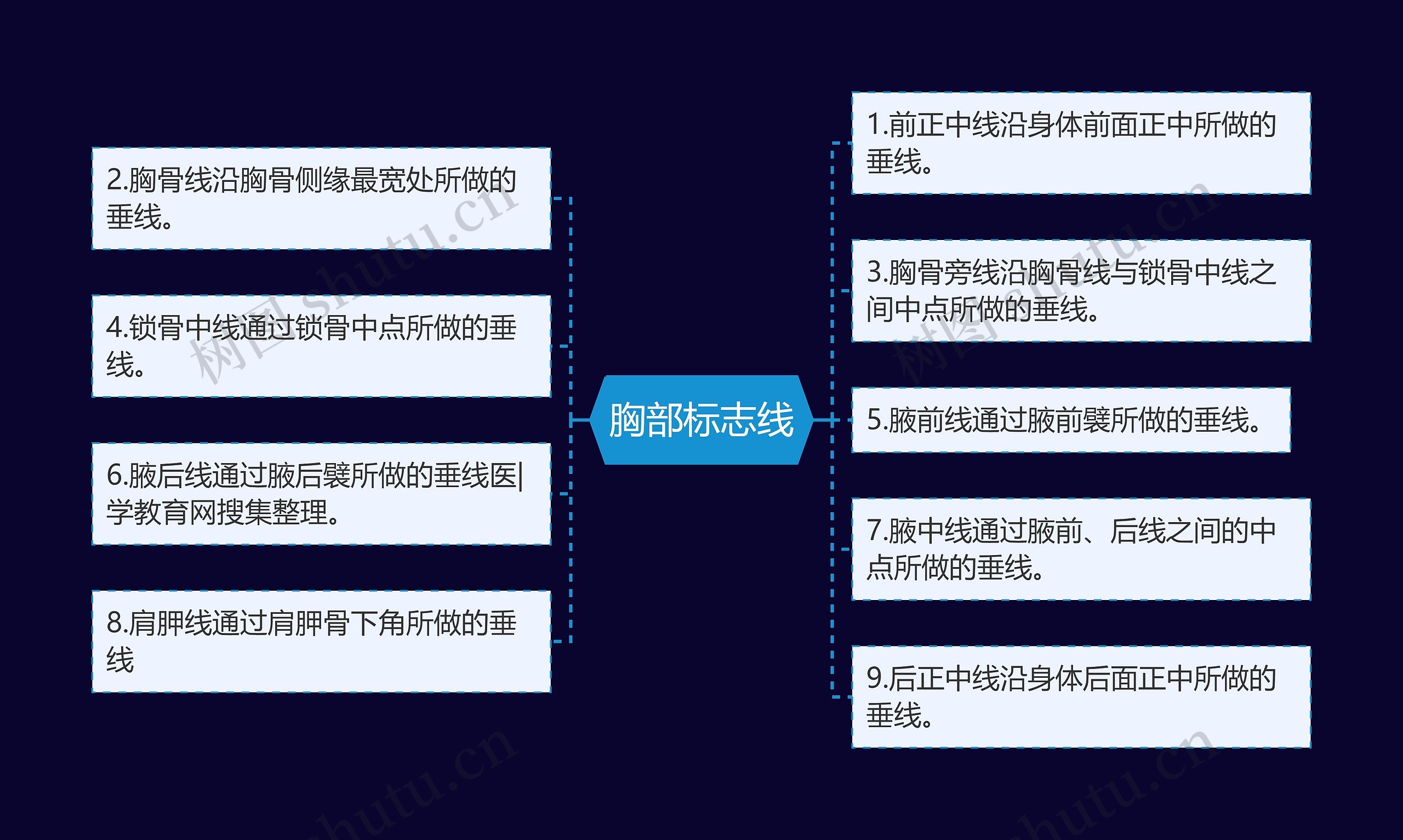 胸部标志线思维导图