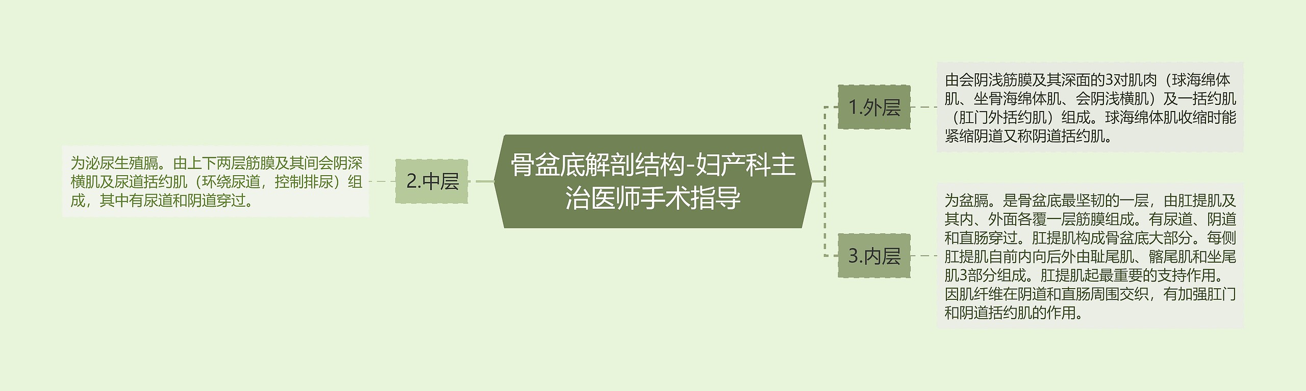 骨盆底解剖结构-妇产科主治医师手术指导 骨盆底解剖结构-妇产科主治医师手术指导