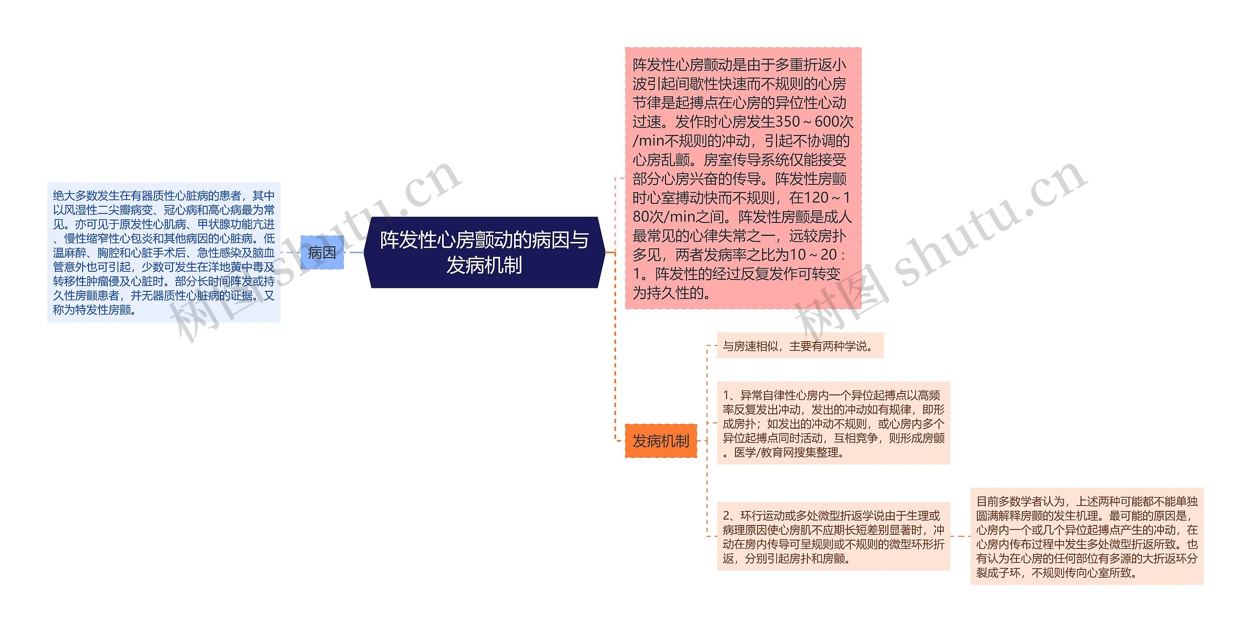 阵发性心房颤动的病因与发病机制