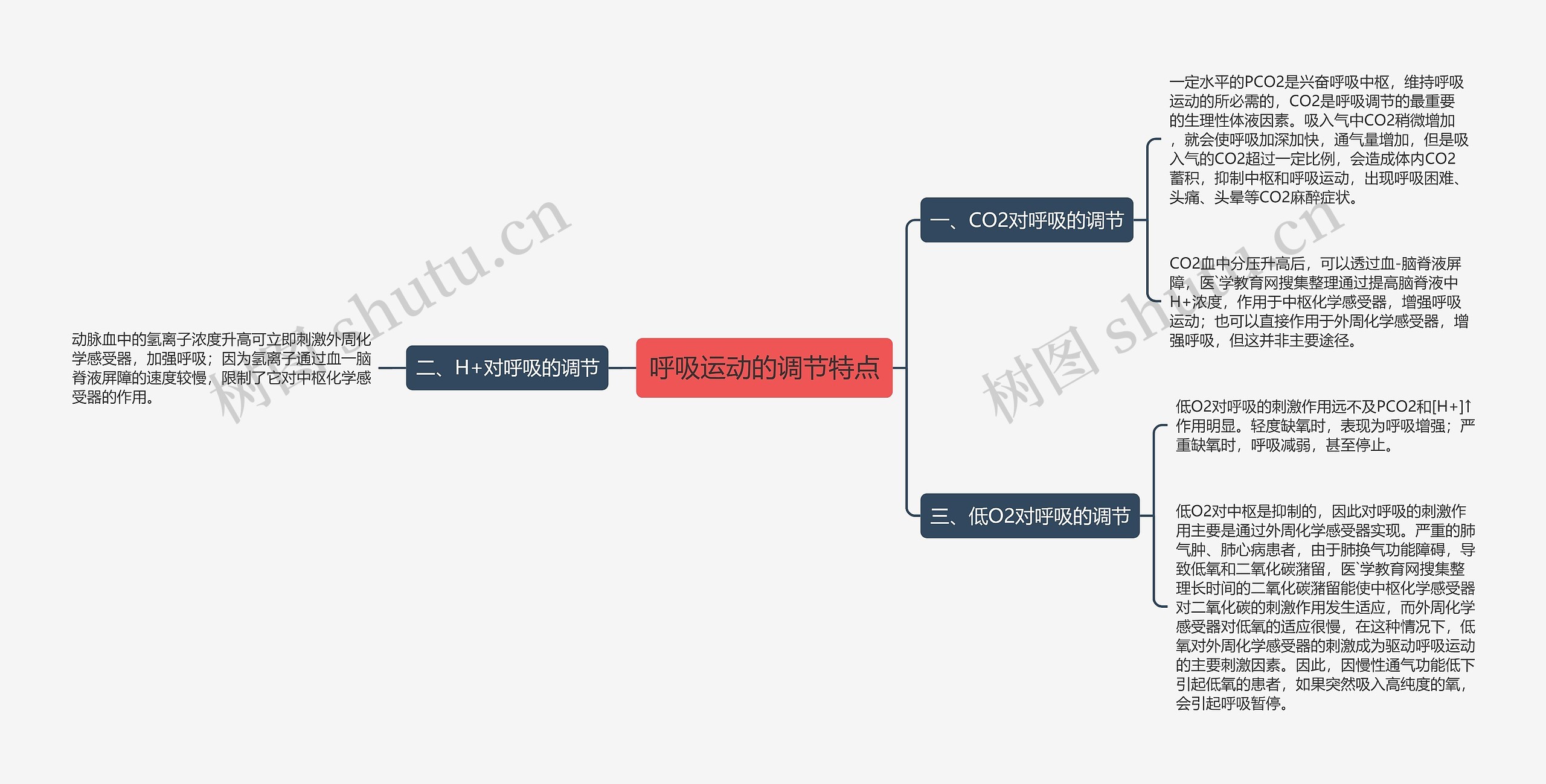 呼吸运动的调节特点 呼吸运动的调节特点