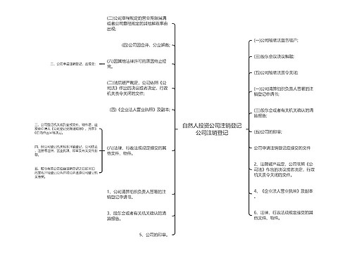 自然人投资公司注销登记公司注销登记