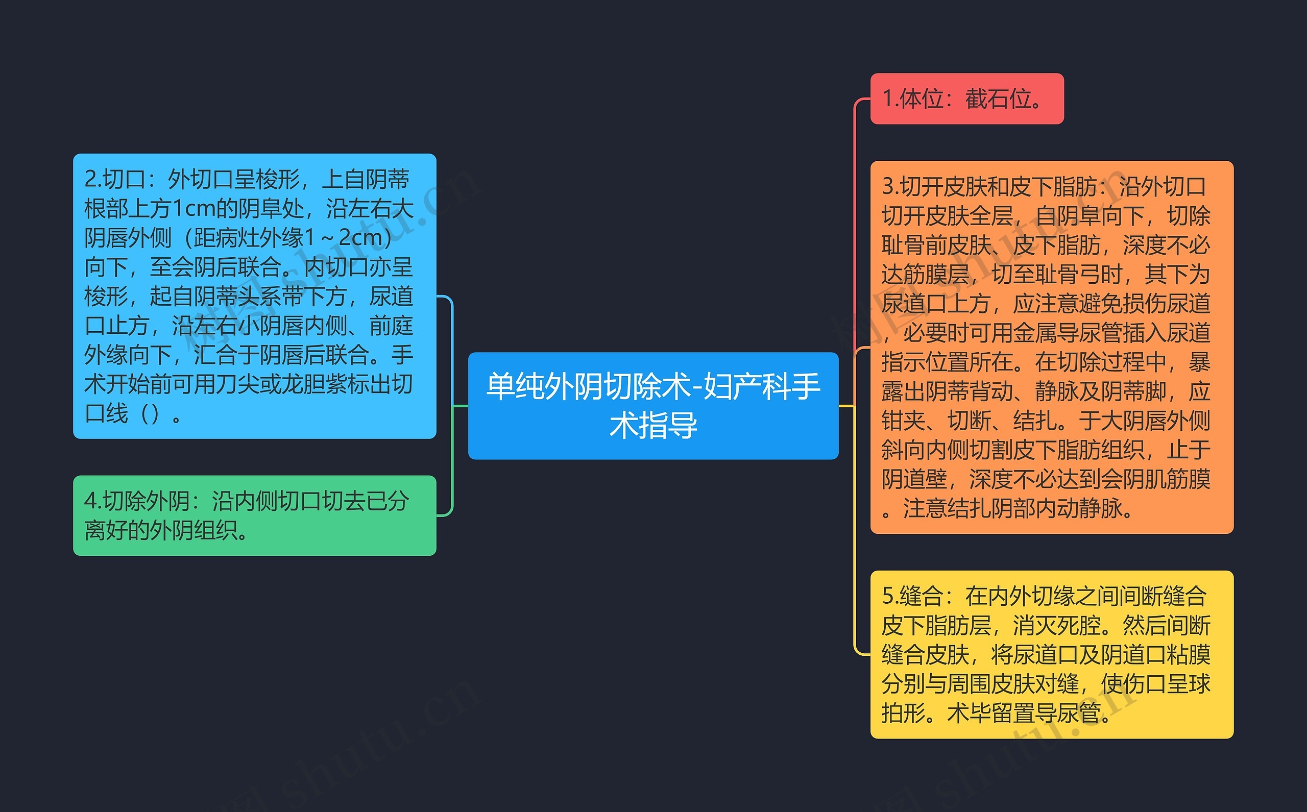 单纯外阴切除术-妇产科手术指导思维导图