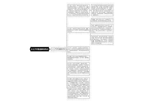 小儿下呼吸道解剖特点