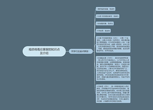 疱疹病毒应掌握的知识点及介绍