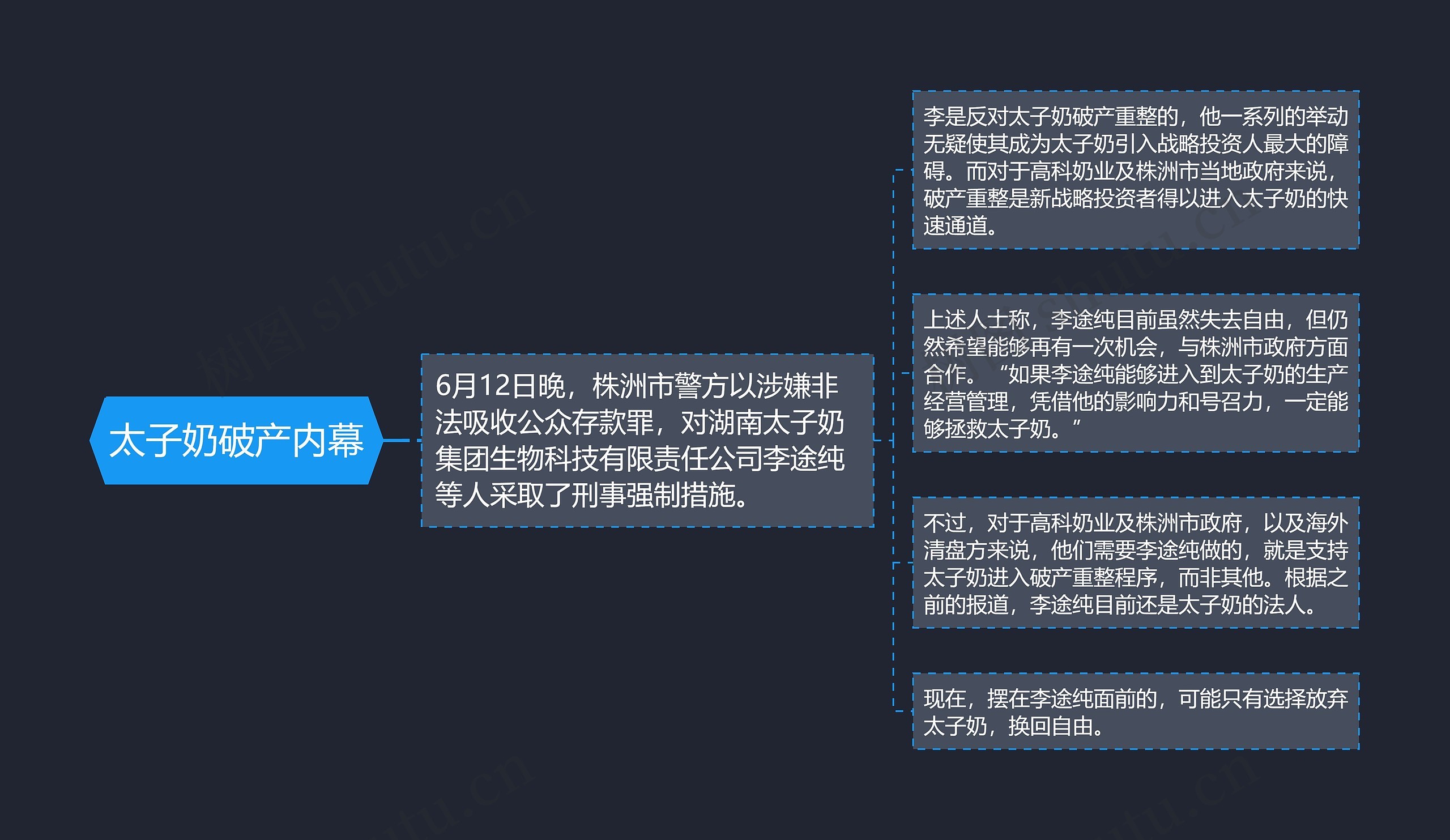 太子奶破产内幕思维导图