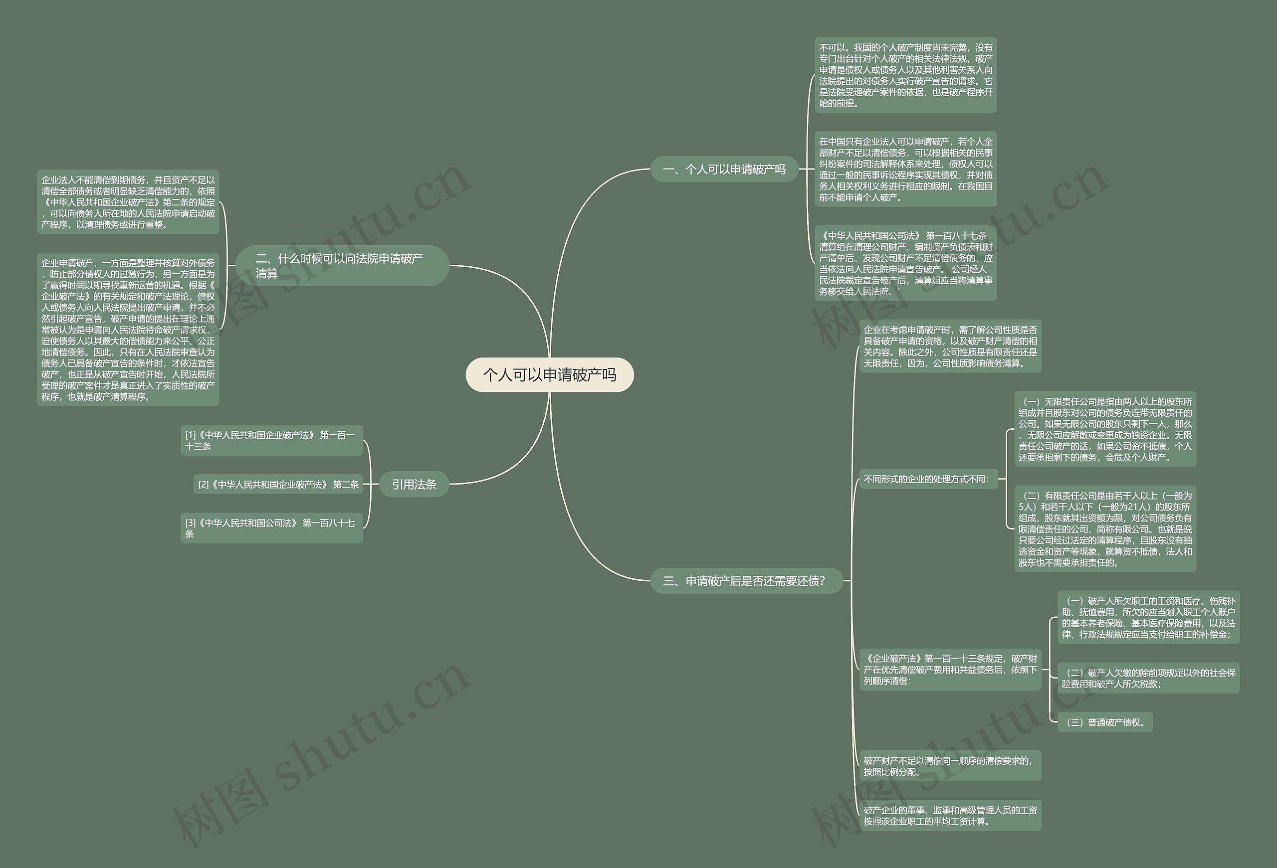 个人可以申请破产吗思维导图