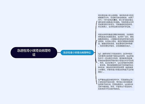 急进性肾小球肾炎病理特征