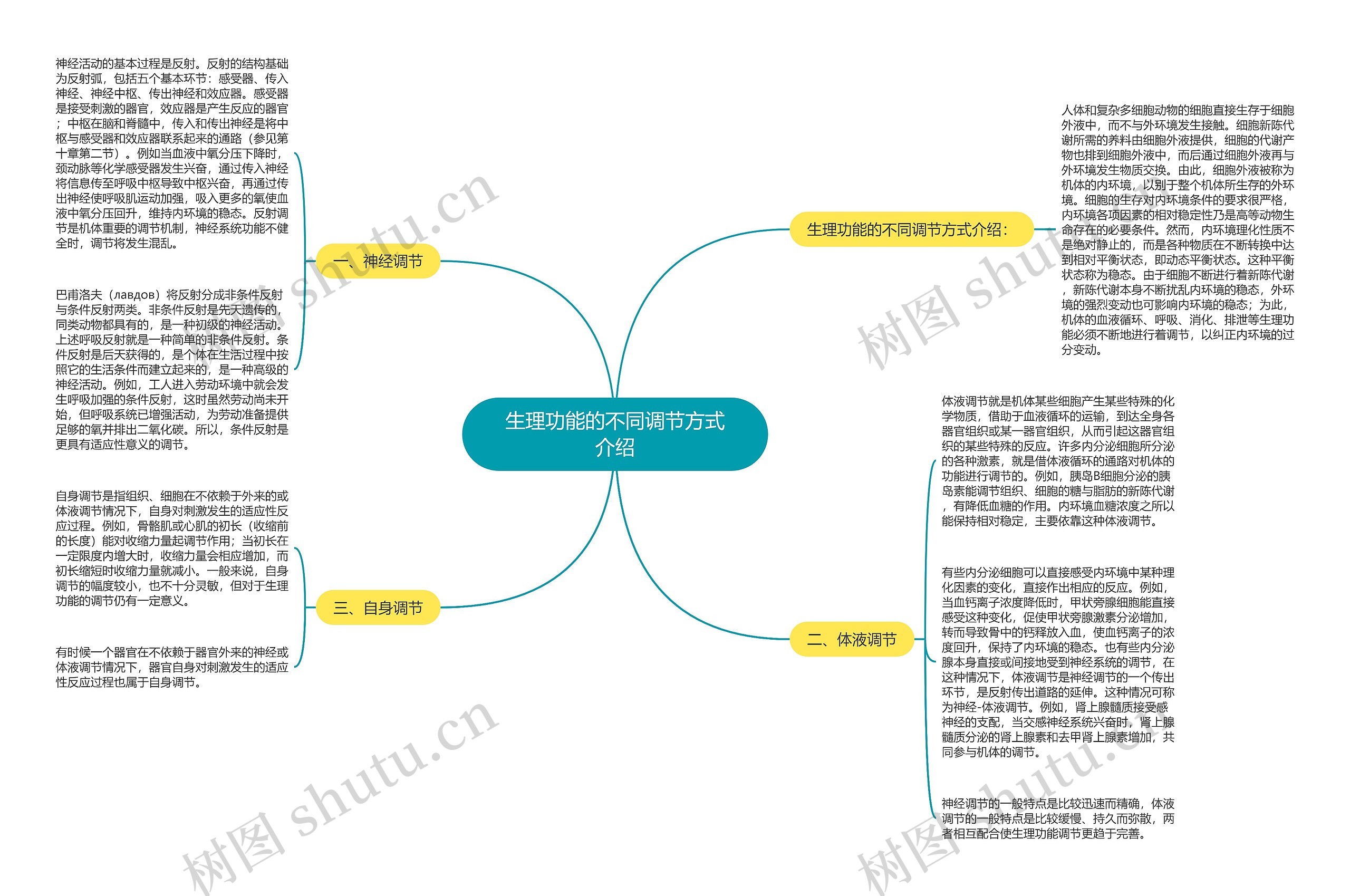 生理功能的不同调节方式介绍思维导图