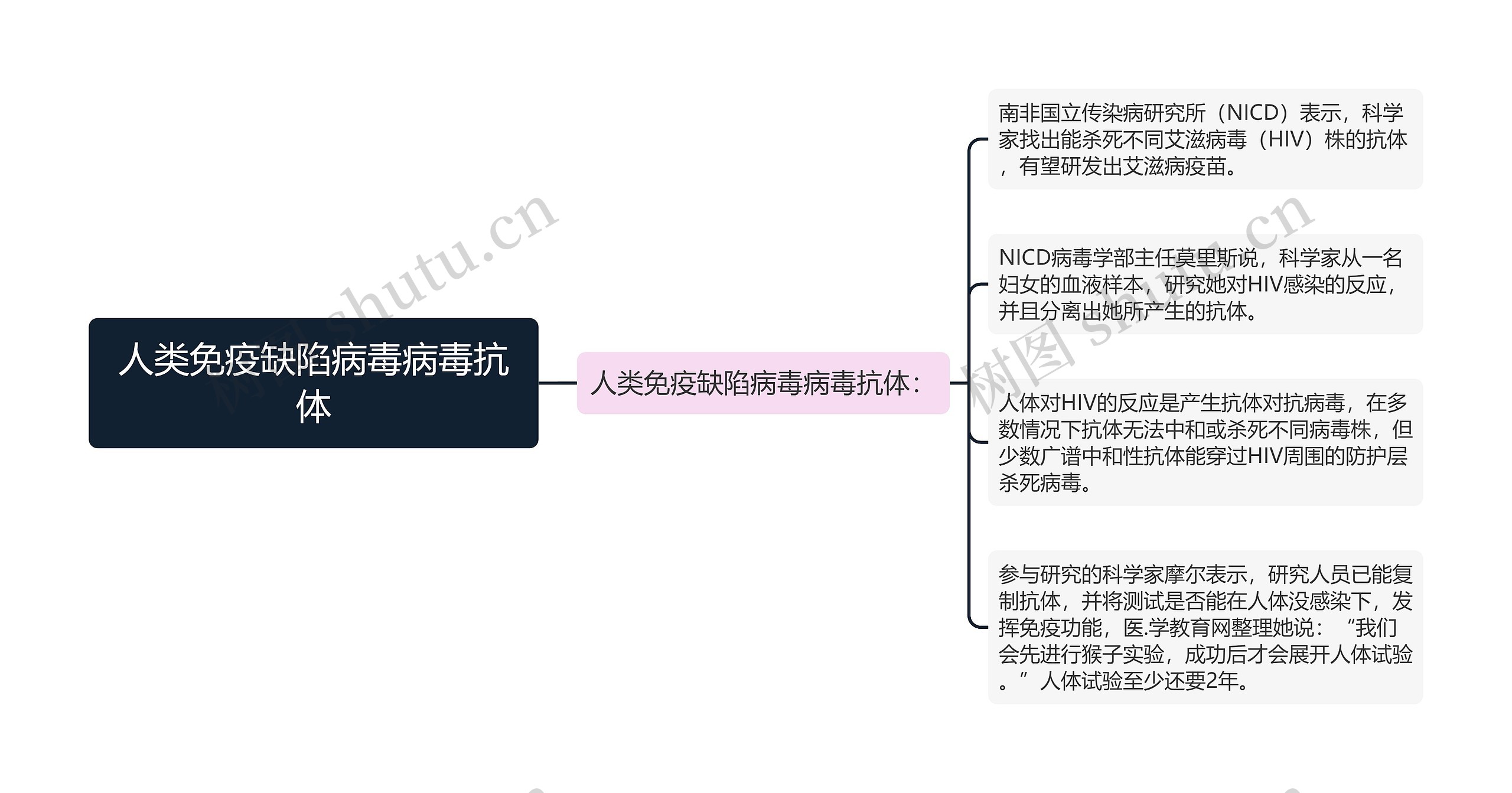 人类免疫缺陷病毒病毒抗体