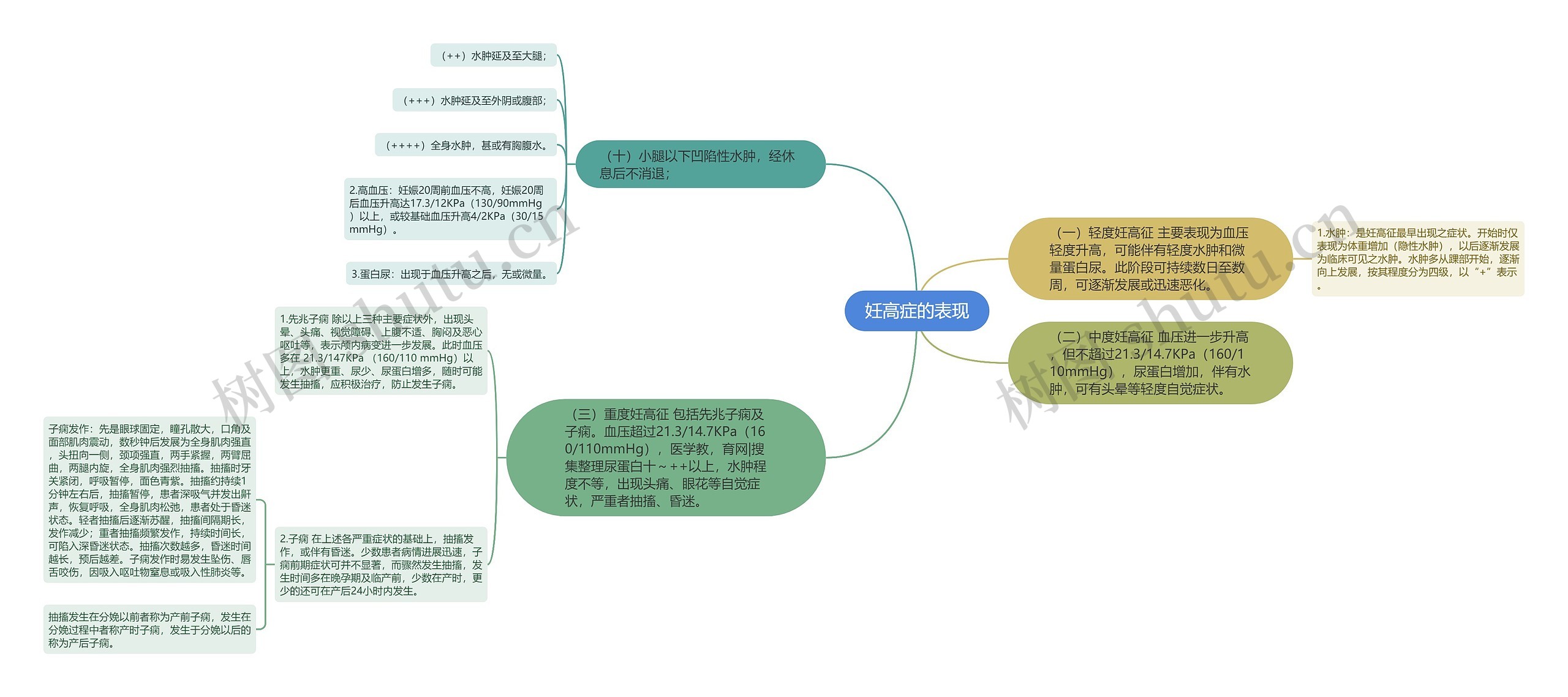 妊高症的表现思维导图