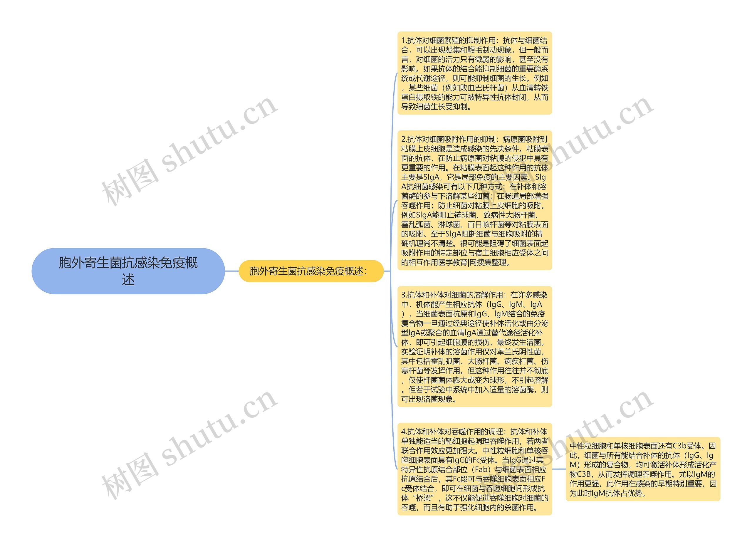 胞外寄生菌抗感染免疫概述