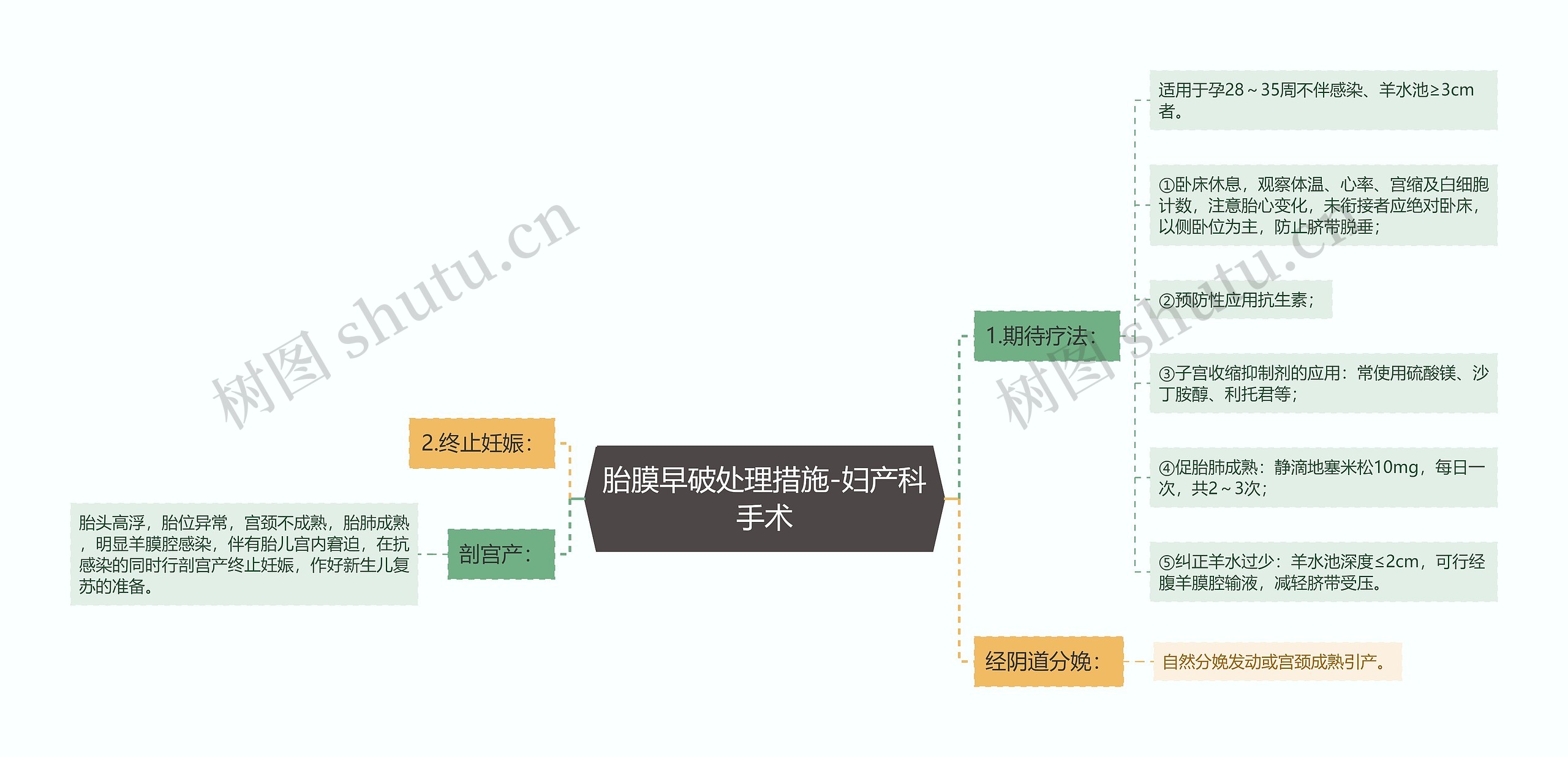 胎膜早破处理措施-妇产科手术思维导图