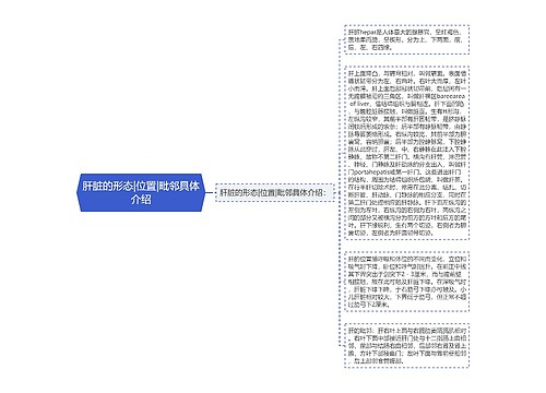 肝脏的形态|位置|毗邻具体介绍