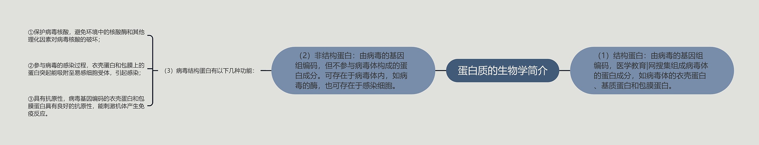 蛋白质的生物学简介