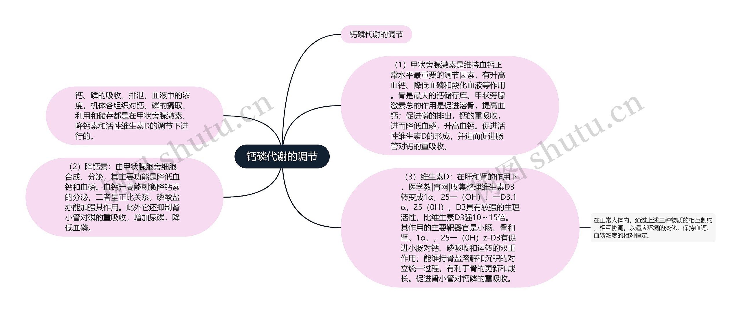 钙磷代谢的调节思维导图