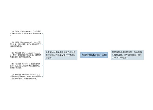 细菌的基本形态-球菌