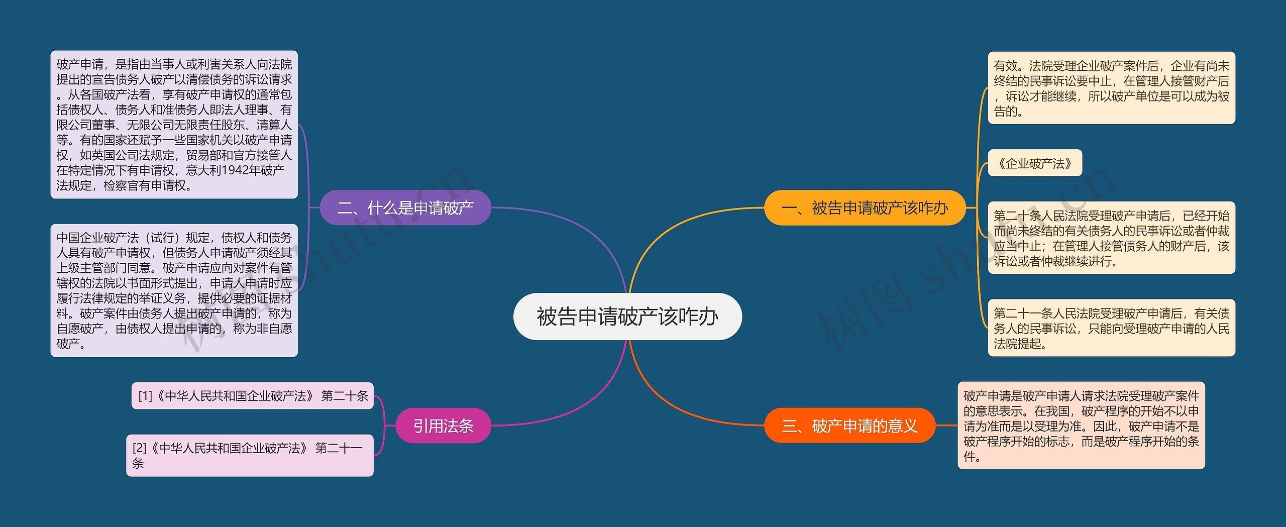 被告申请破产该咋办思维导图