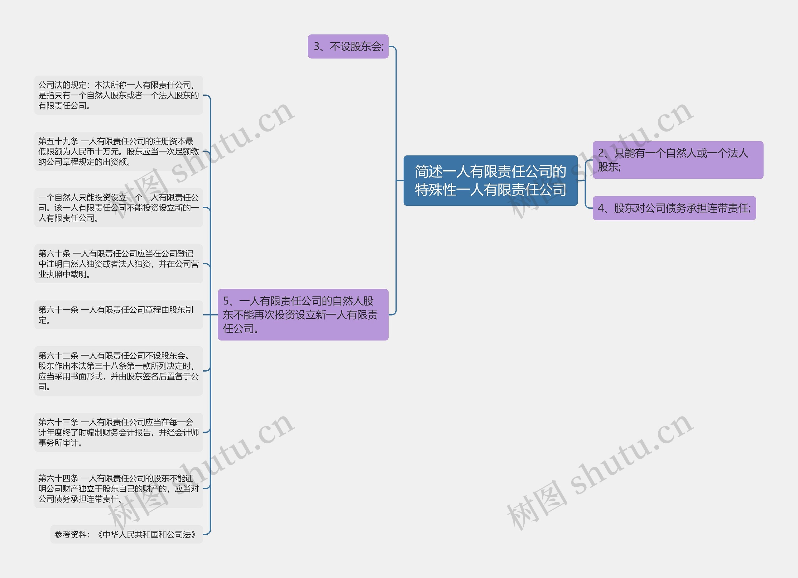 简述一人有限责任公司的特殊性一人有限责任公司思维导图