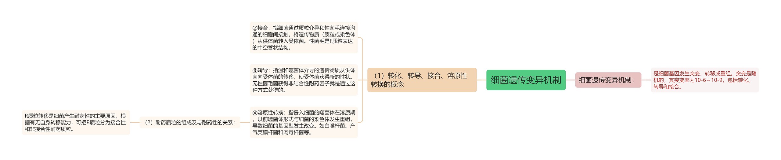 细菌遗传变异机制
