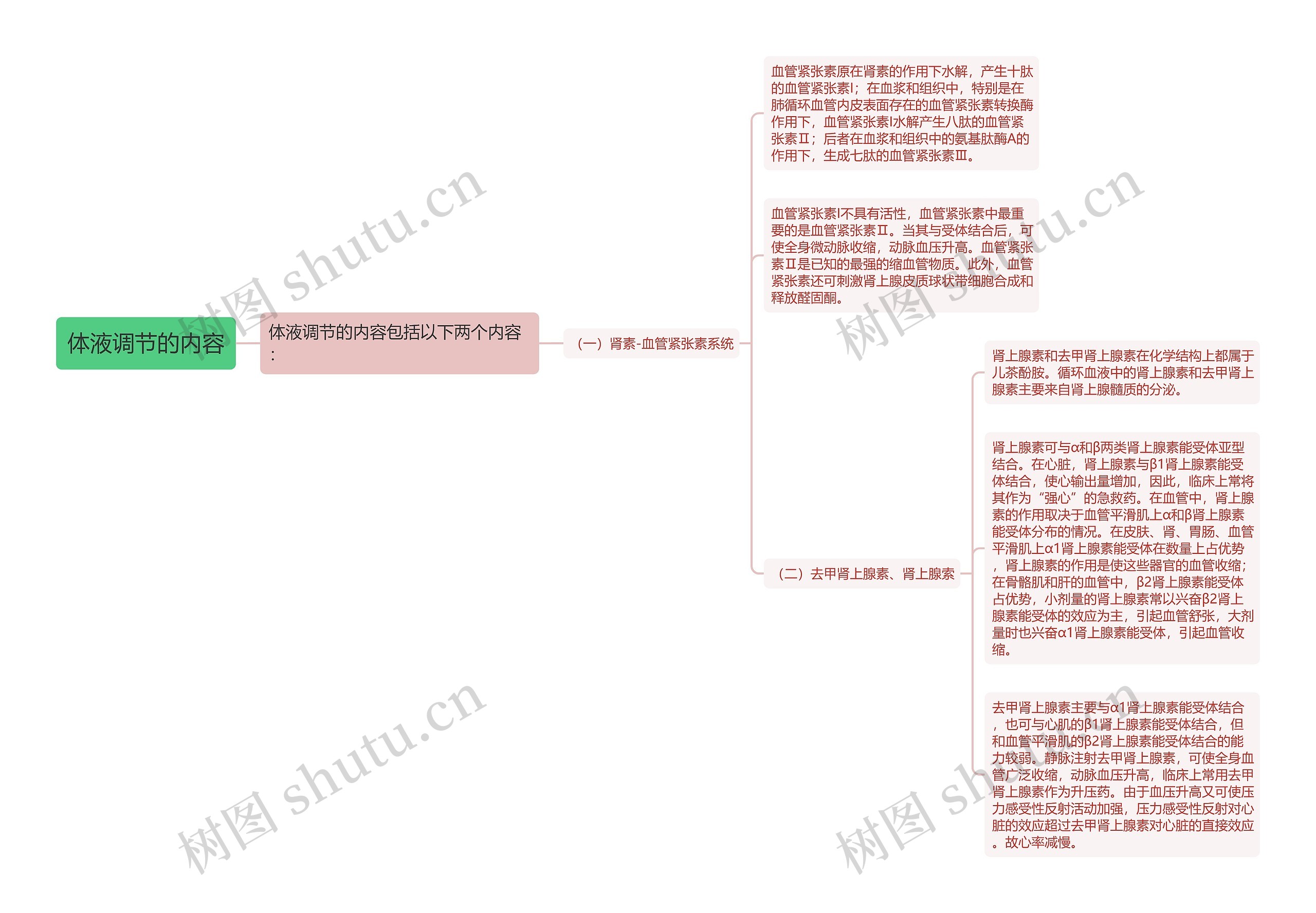 体液调节的内容思维导图