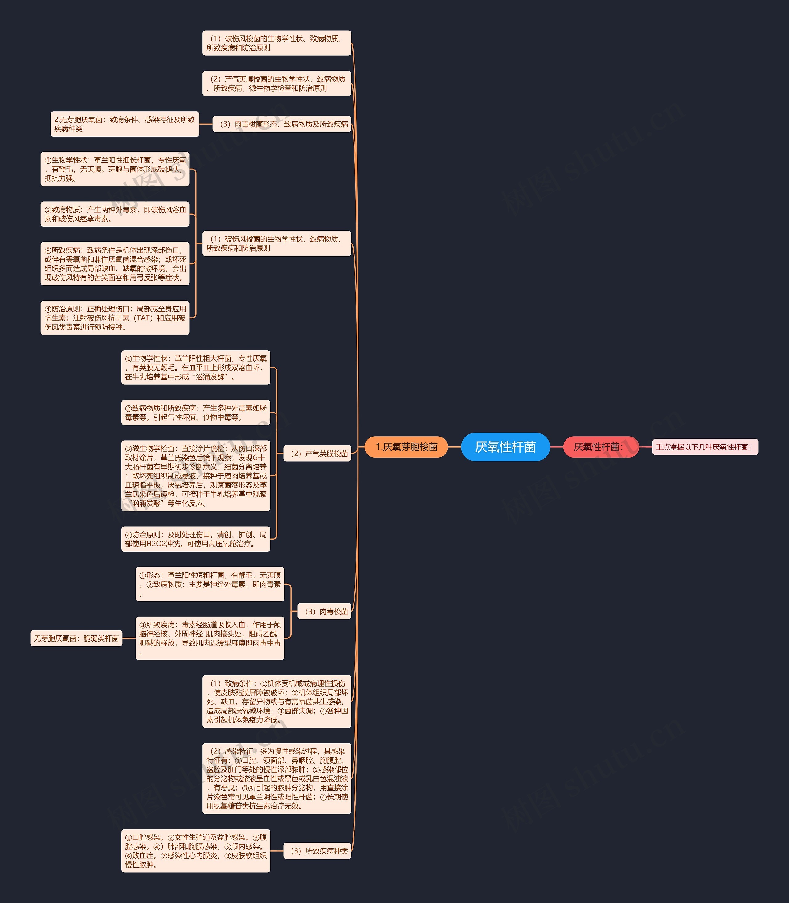 厌氧性杆菌 厌氧性杆菌