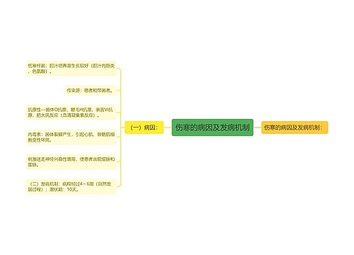 伤寒的病因及发病机制