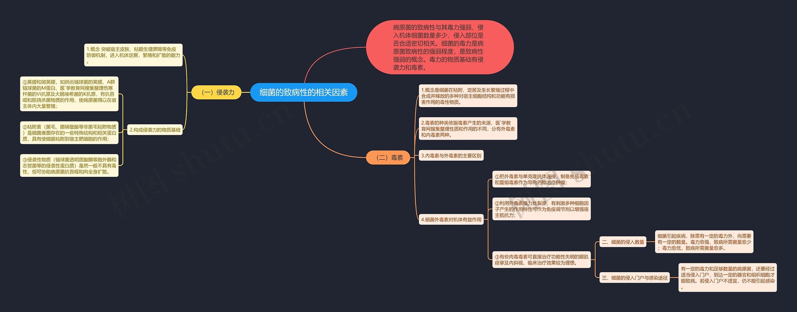 细菌的致病性的相关因素思维导图