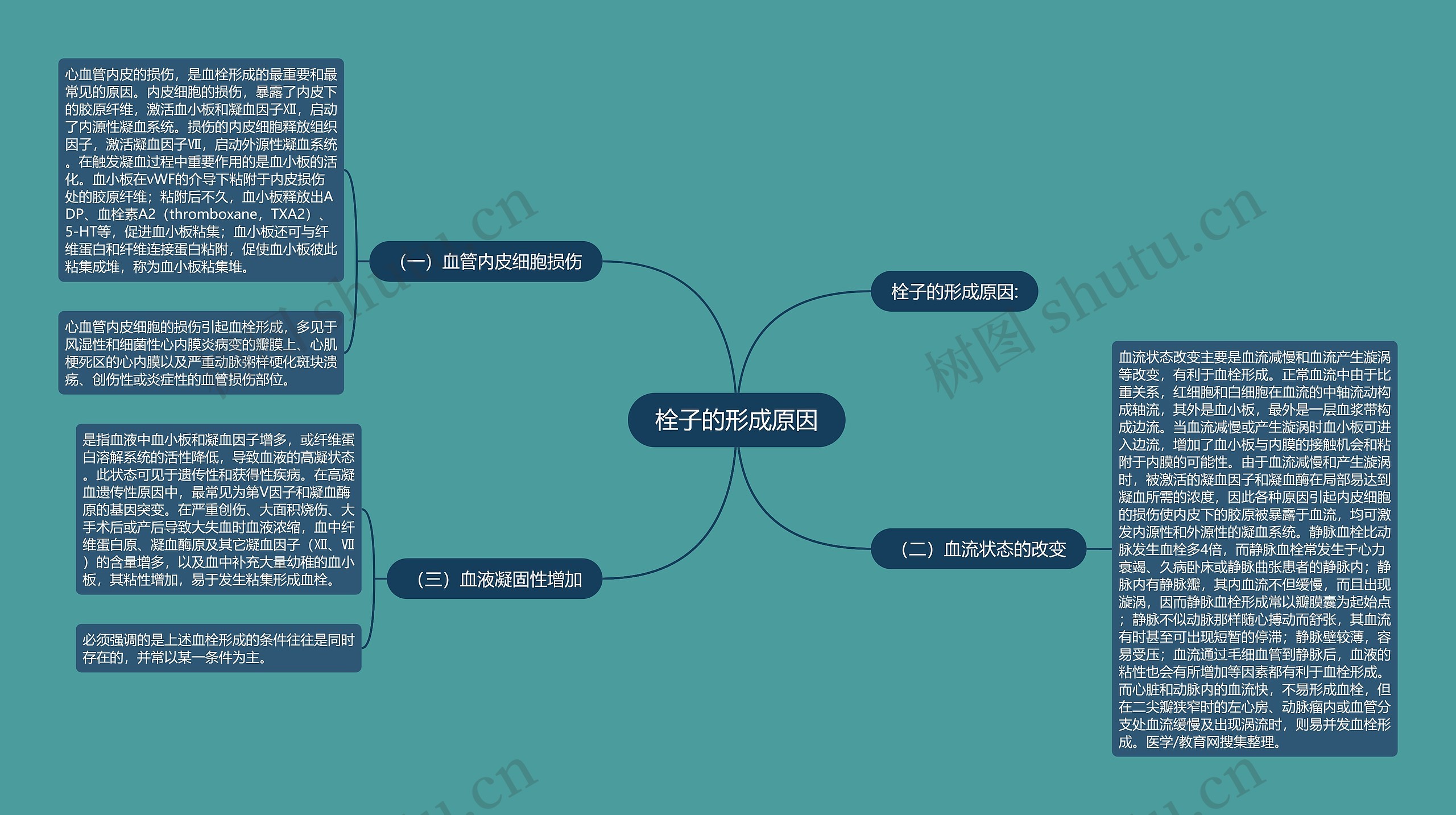 栓子的形成原因思维导图