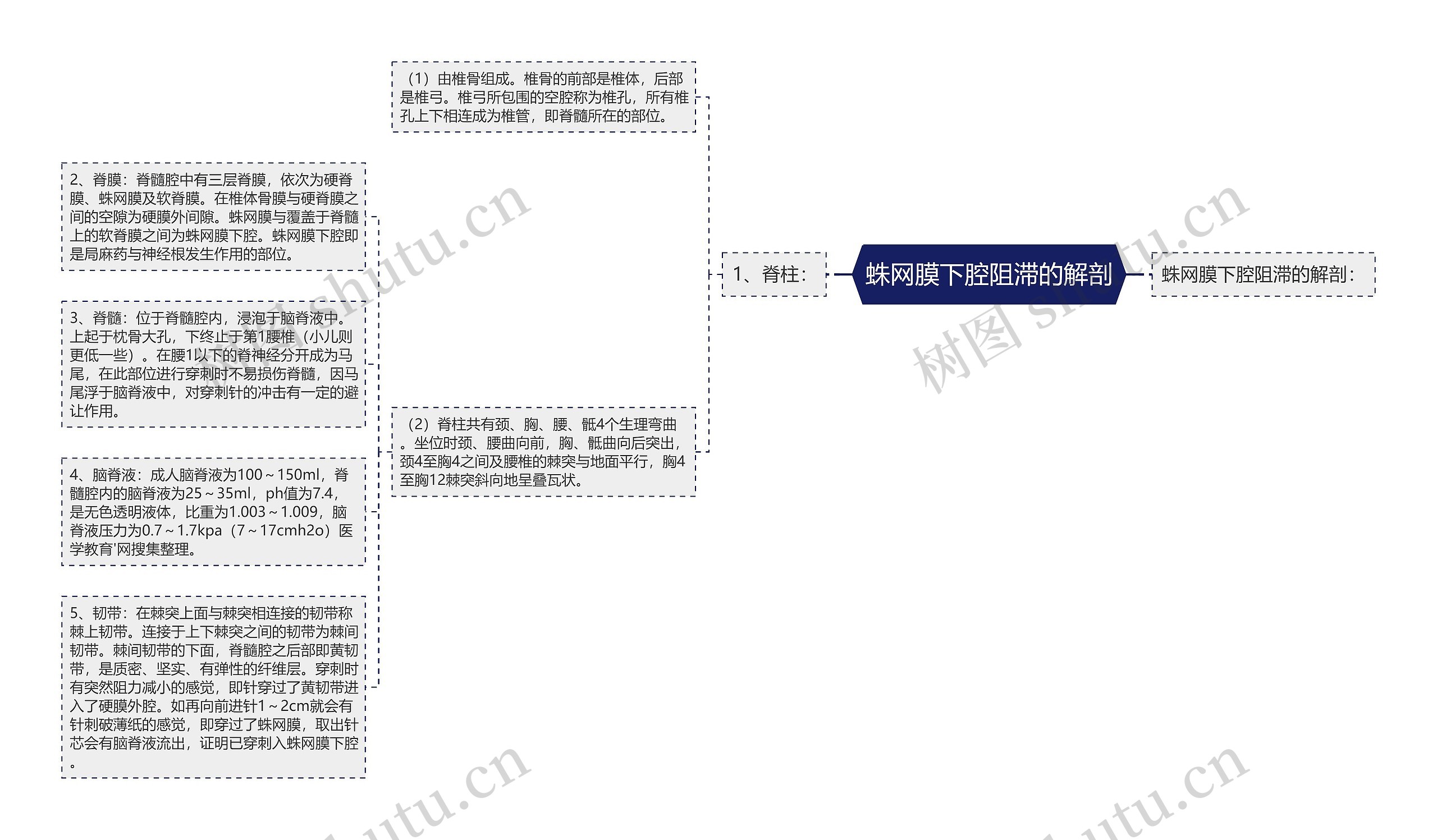 蛛网膜下腔阻滞的解剖思维导图