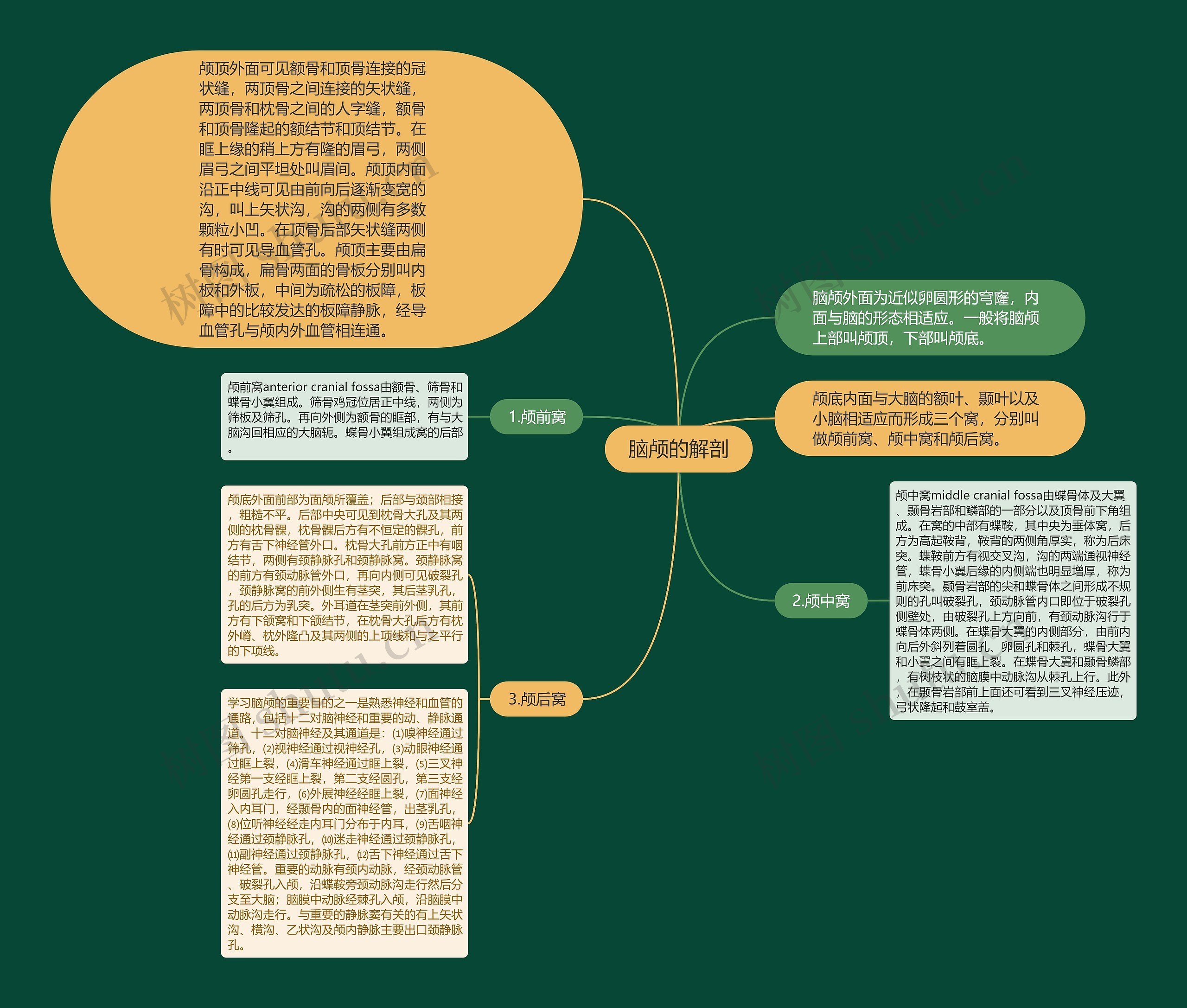 脑颅的解剖思维导图
